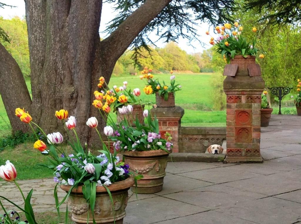 고달밍 Hambledon House B&B 외부 사진